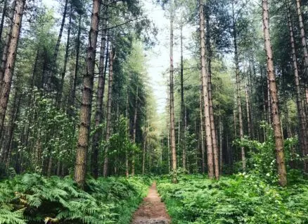 Inherited land we helped owners sell