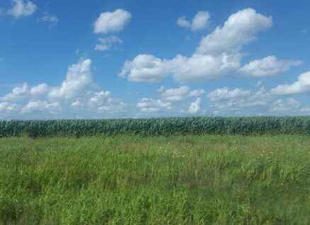 Land owned by out of state owners