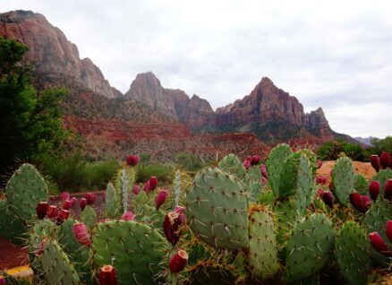 Land with title problems we buy