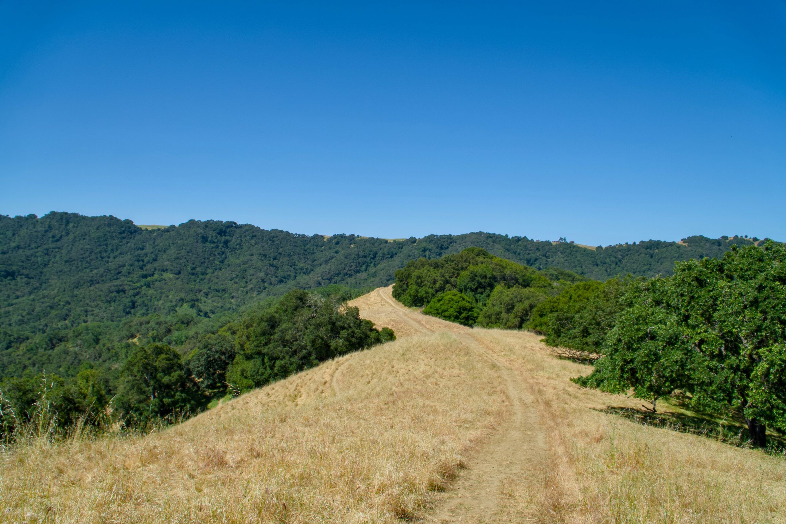 Hillside land for sale in California