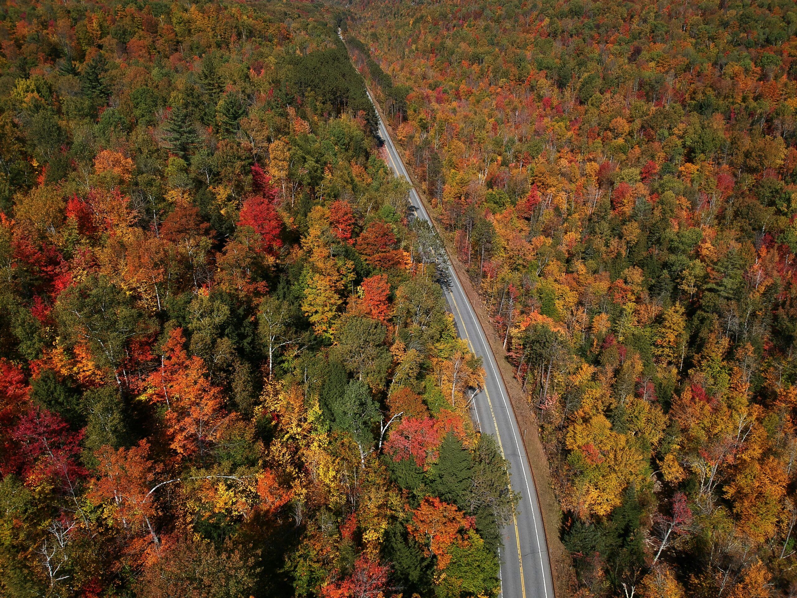Mountain land for sale in New York