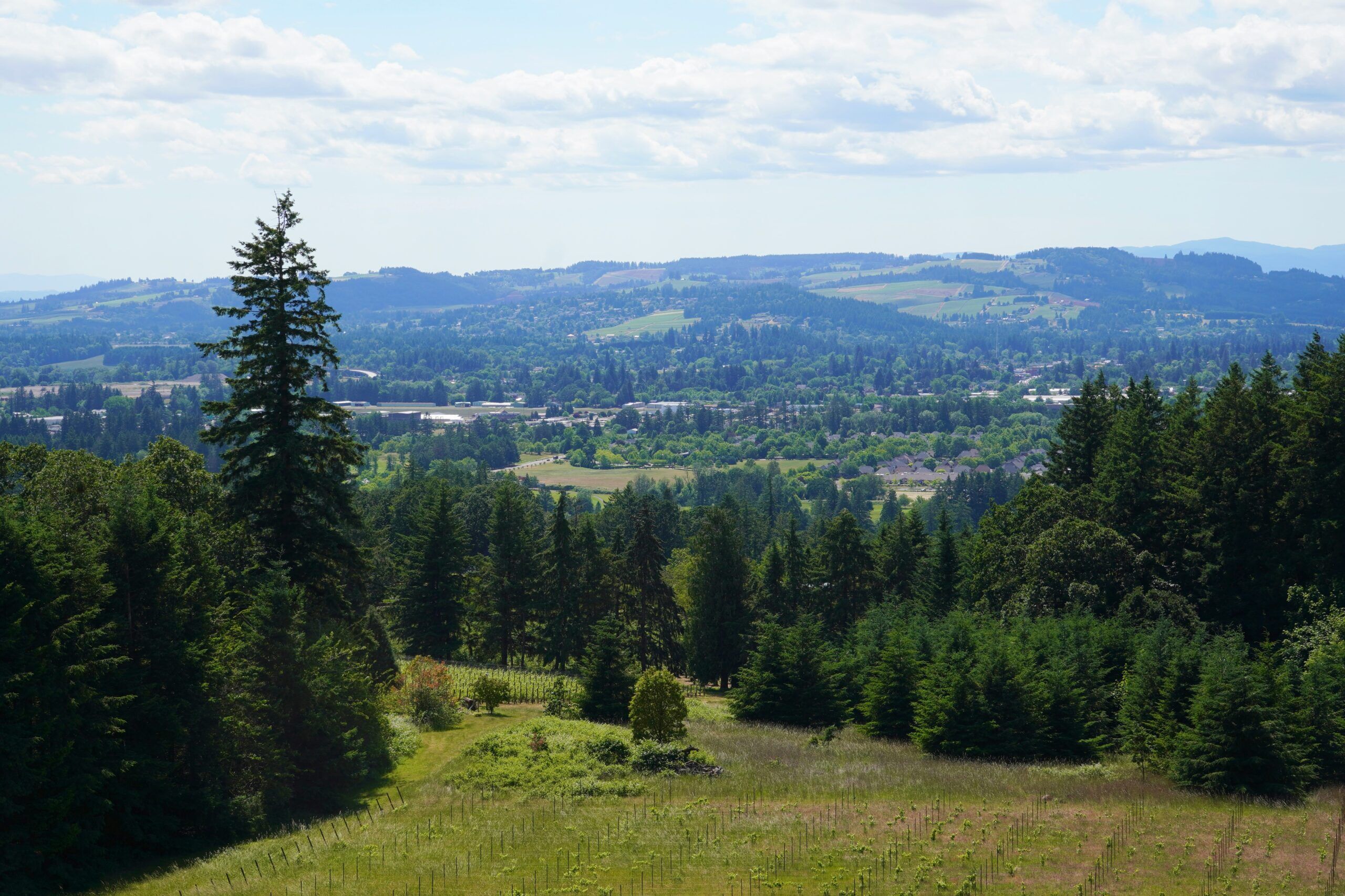 Mountain land for sale in Oregon