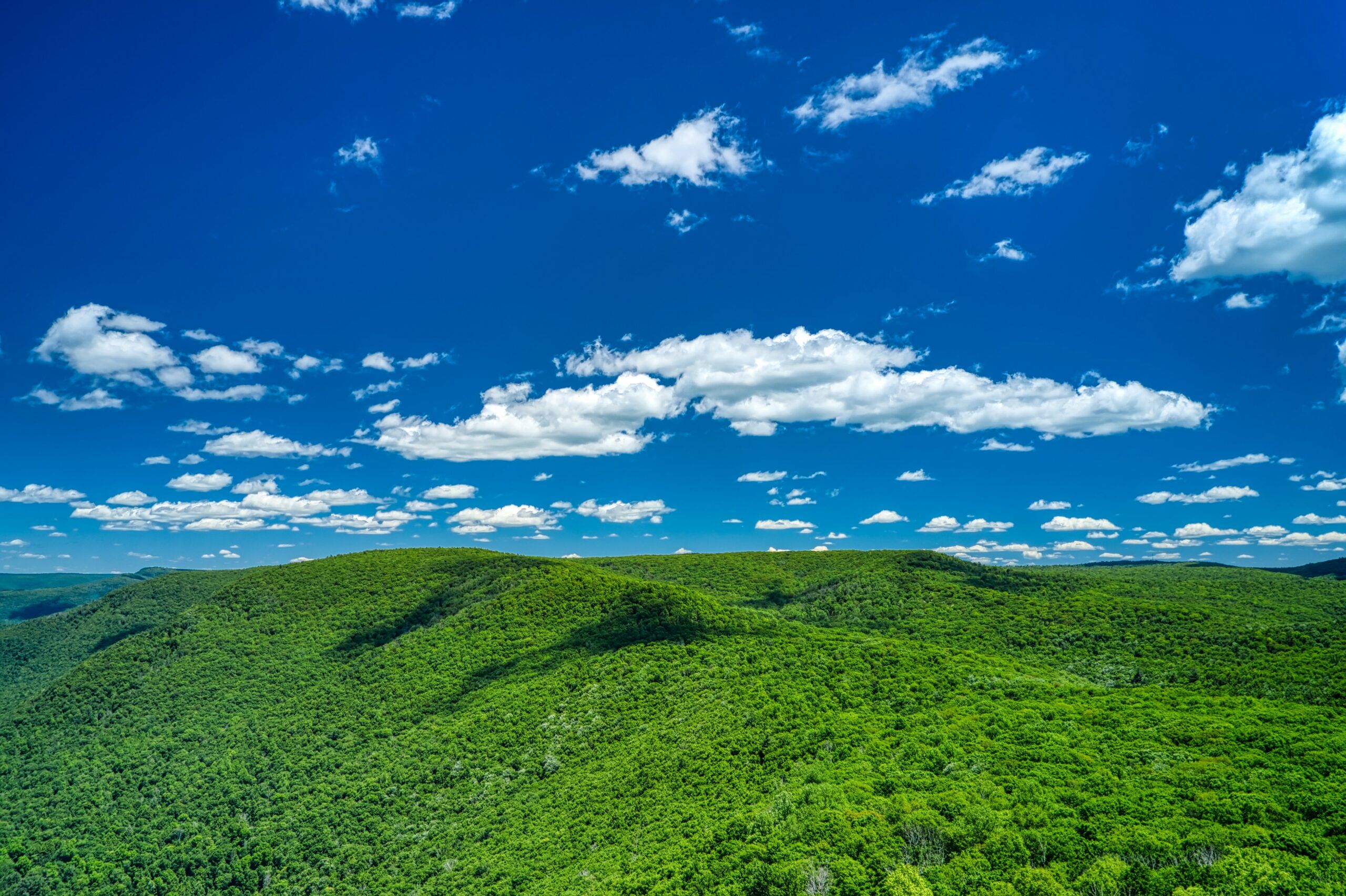 Mountain land for sale in Pennsylvania