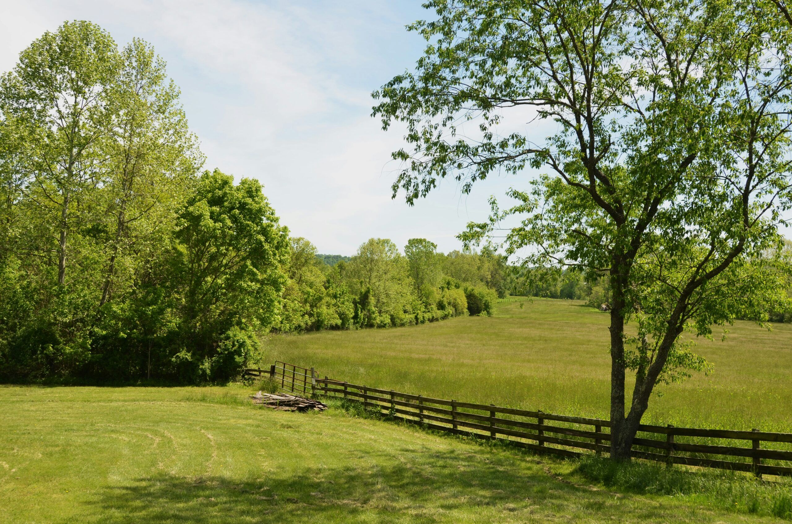 Land for sale in Tennessee