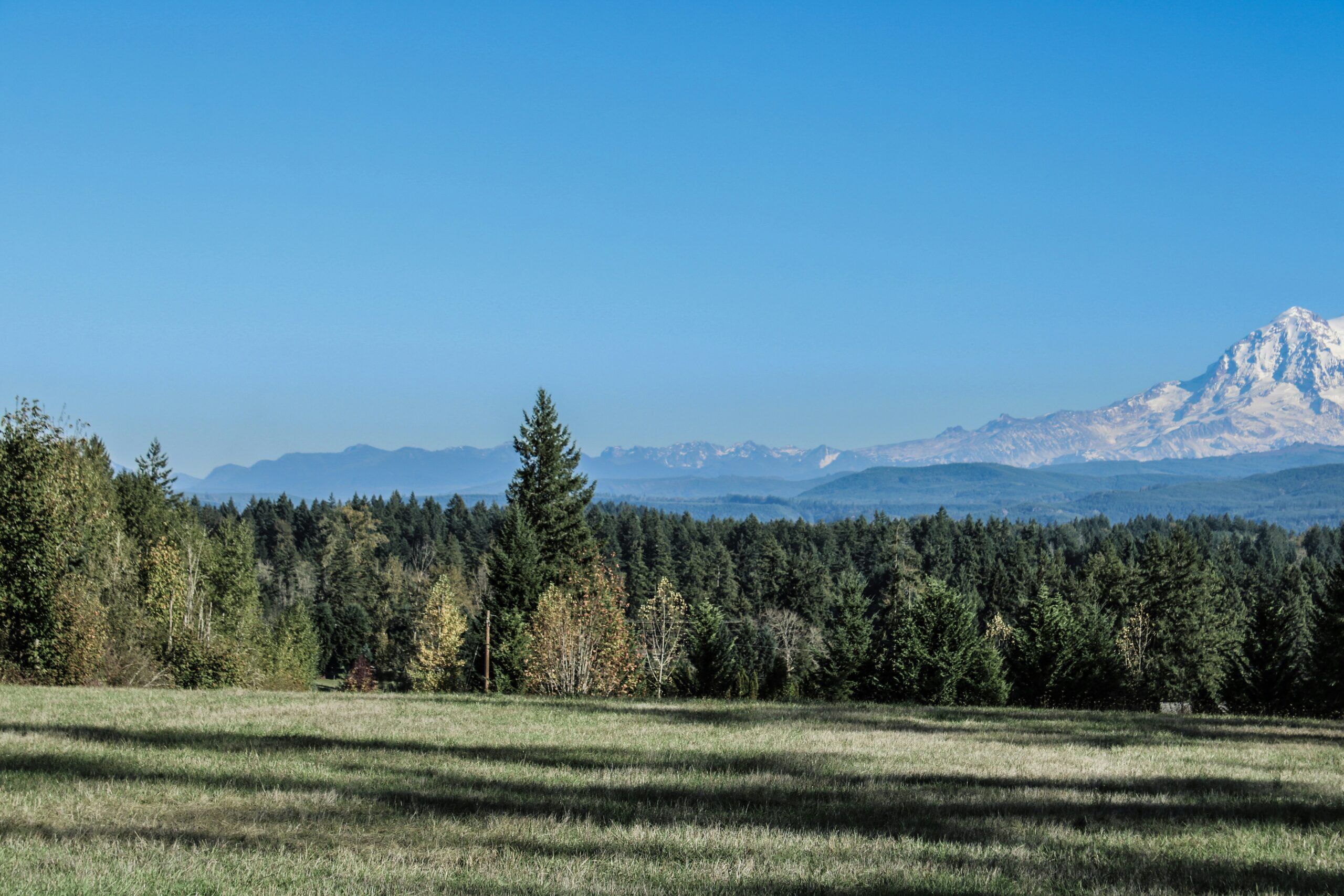 Wooded land for sale in Washington