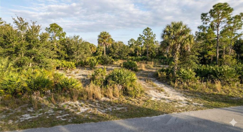 Land in Florida that's owned my multiple heirs