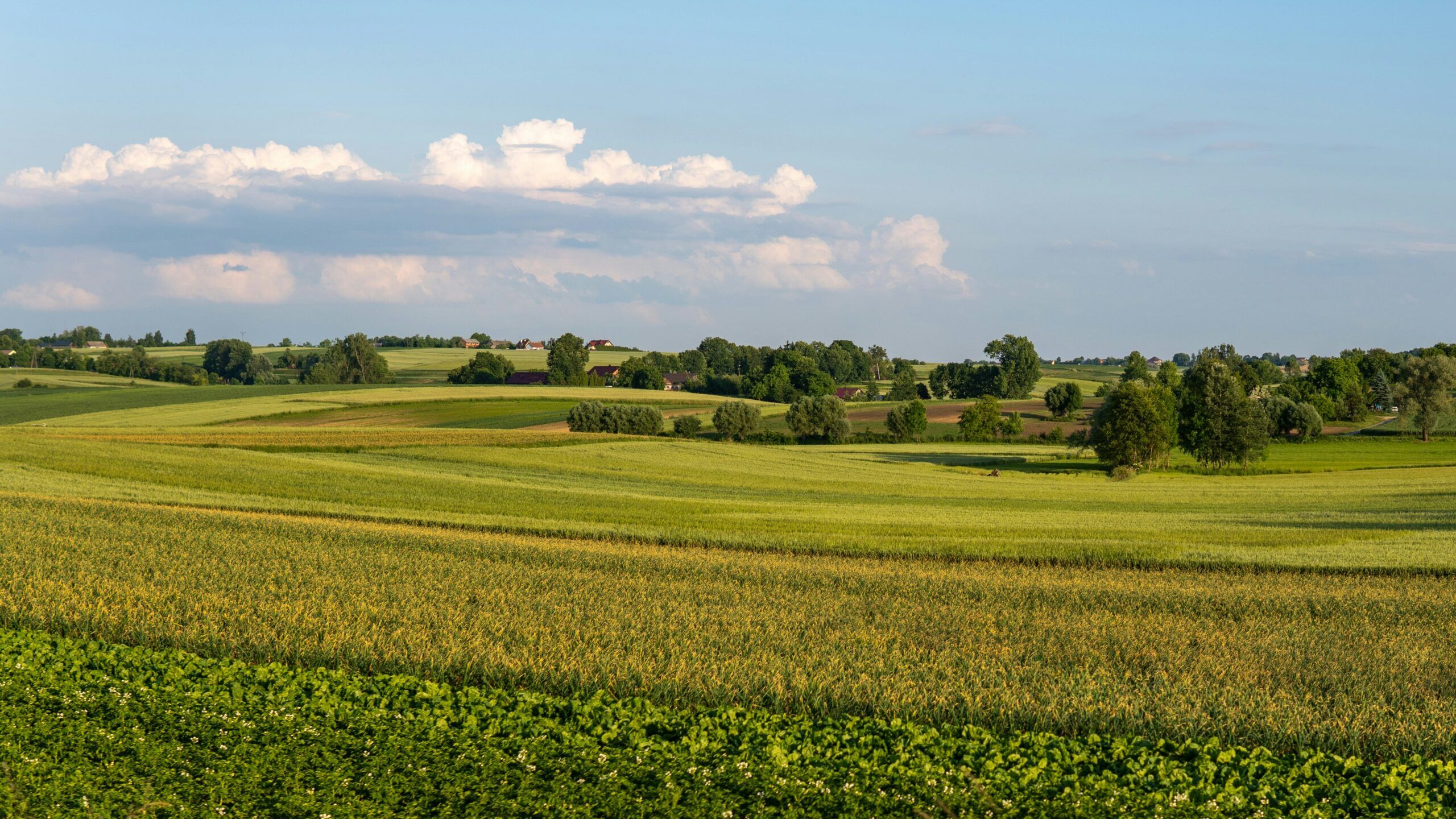 Process for buying vacant land in Illinois