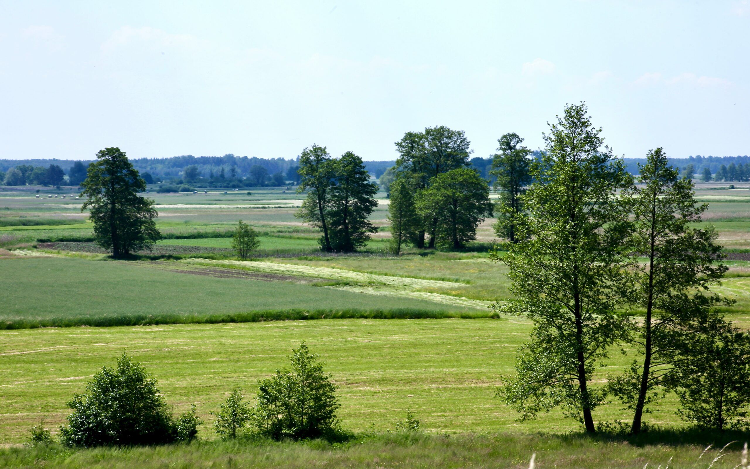 Plain land for sale in Maryland