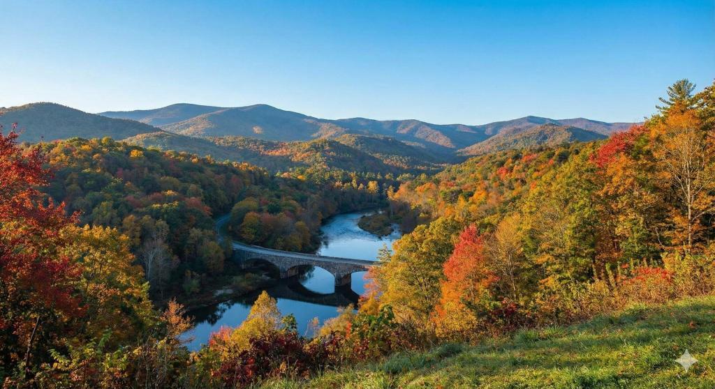 A cost breakdown of the North Carolina probate process for a landowner selling vacant land