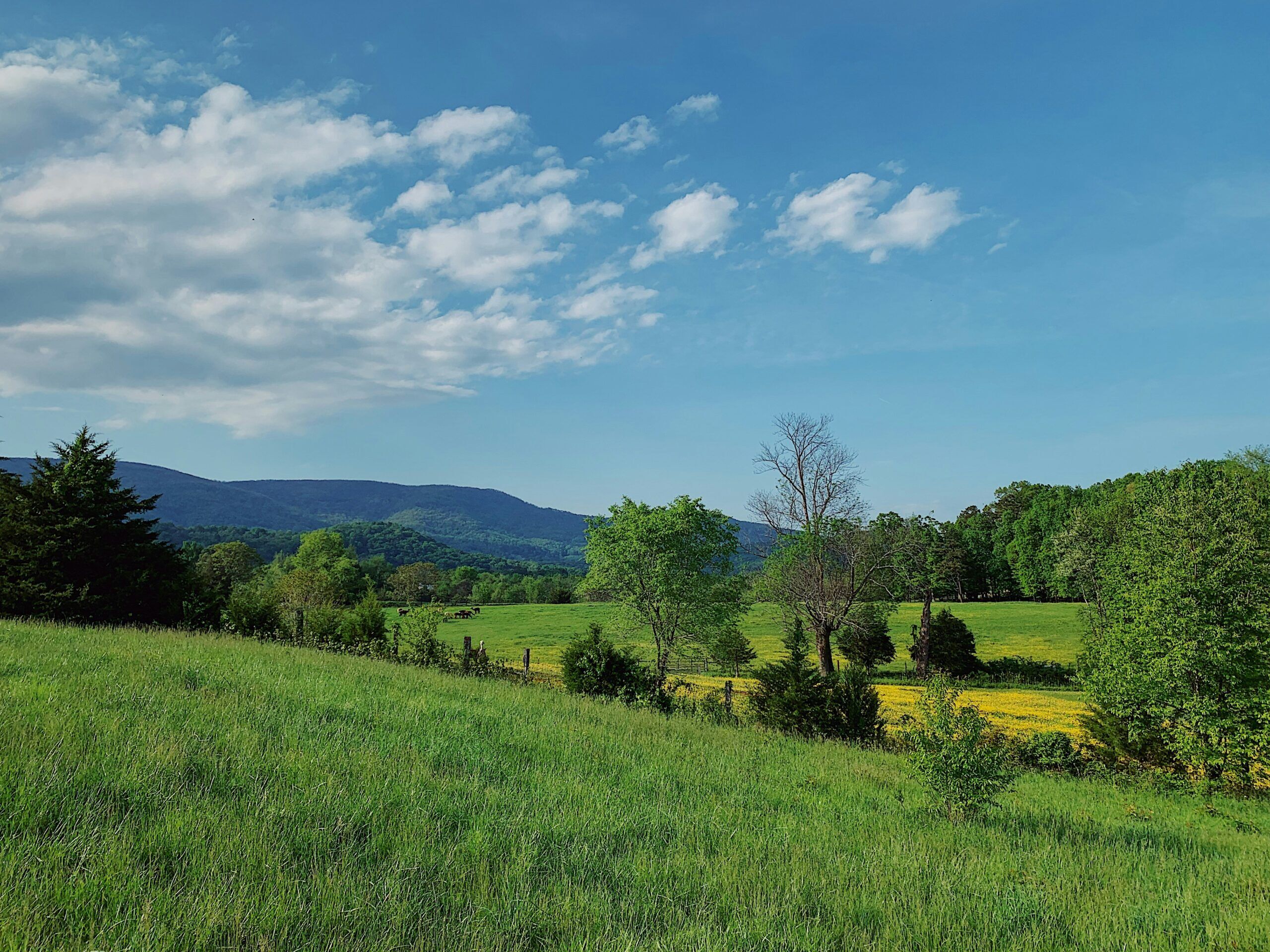 Process for buying vacant land in Virginia