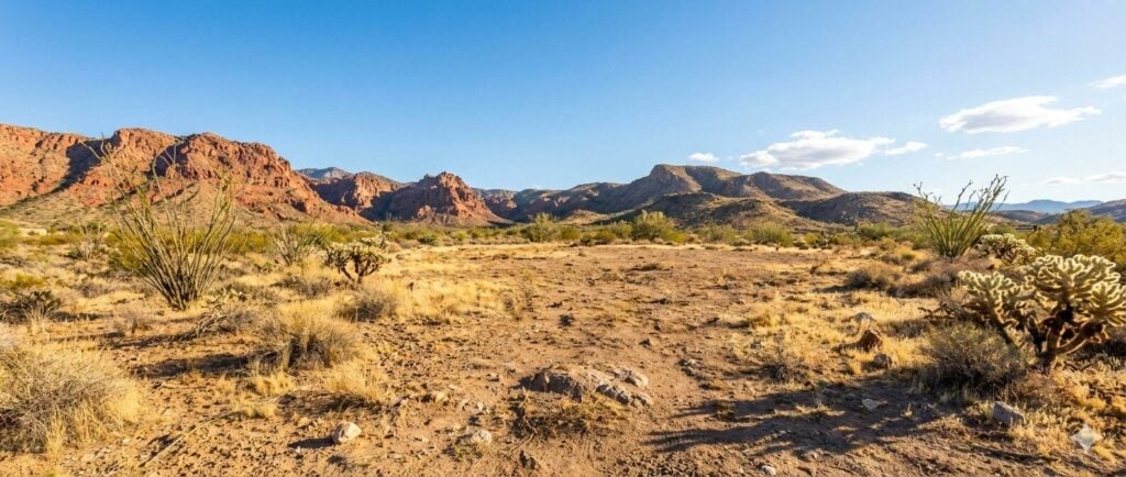 A vacant parcel of land representing selling inherited land through probate.