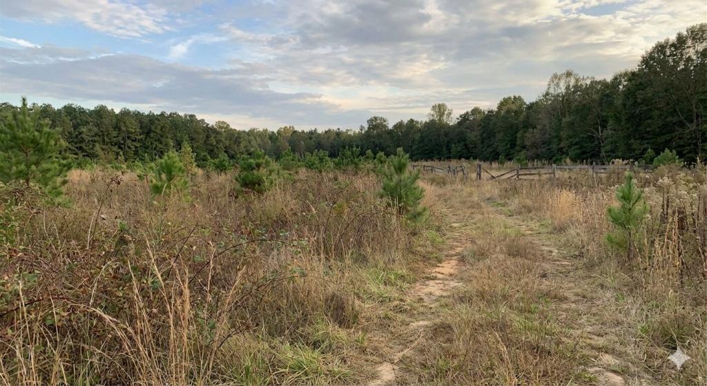 a vacant parcel of land representing the Georgia probate process